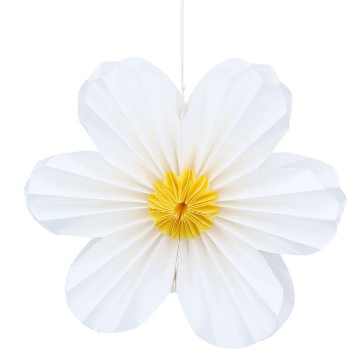 White petal clearance flower