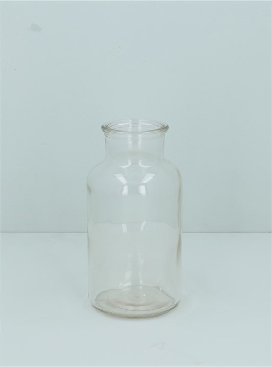 Glass Vase - Clear Bottle Vase, Medium