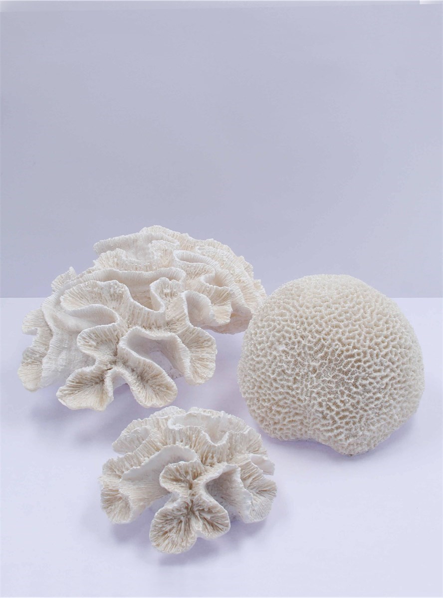 Small Wellsophyllia Coral Decoration #350 > Champion Lighting & Supply